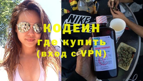 гидра Новозыбков