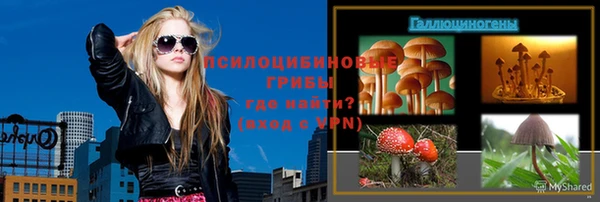 спайс Новодвинск