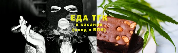 гидра Новозыбков