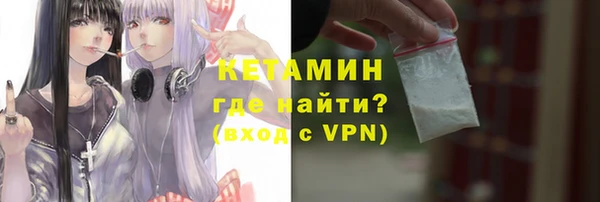гидра Новозыбков