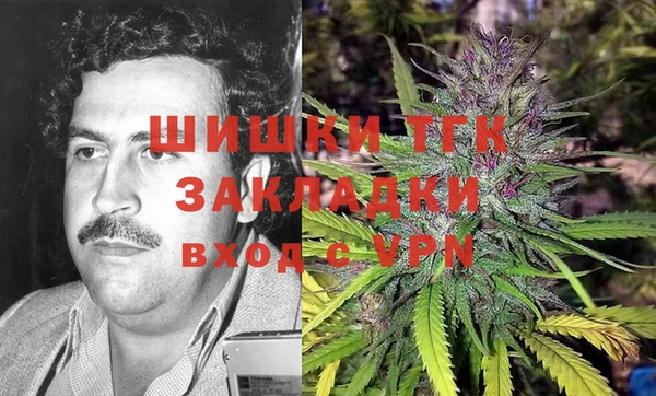 индика Волосово