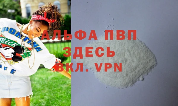 гидра Новозыбков