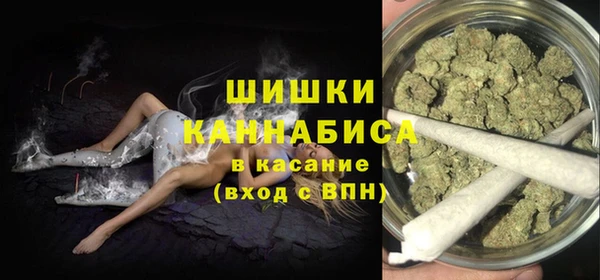 гидра Новозыбков