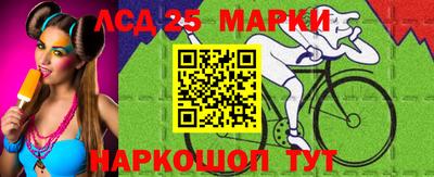 амф Донской
