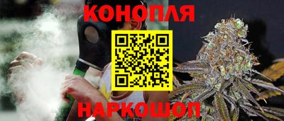 амф Донской