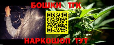 стафф Дубна