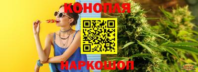 стафф Дубна