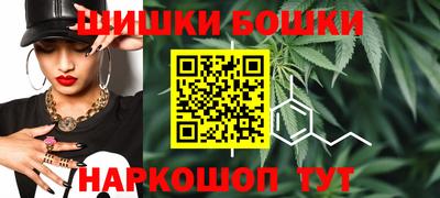 стафф Дубна
