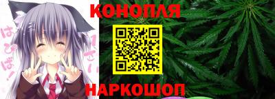 стафф Дубна