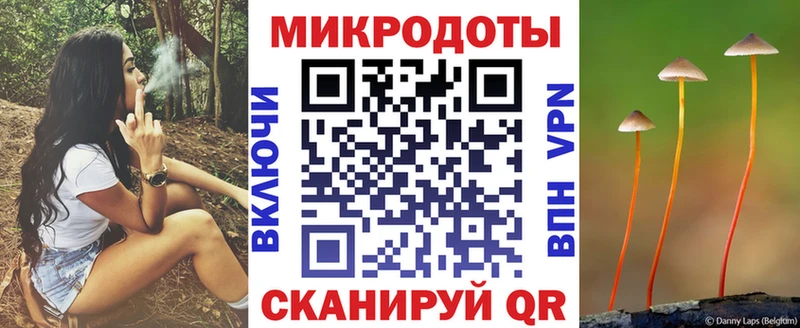 Галлюциногенные грибы MAGIC MUSHROOMS  купить наркоту  Улан-Удэ 