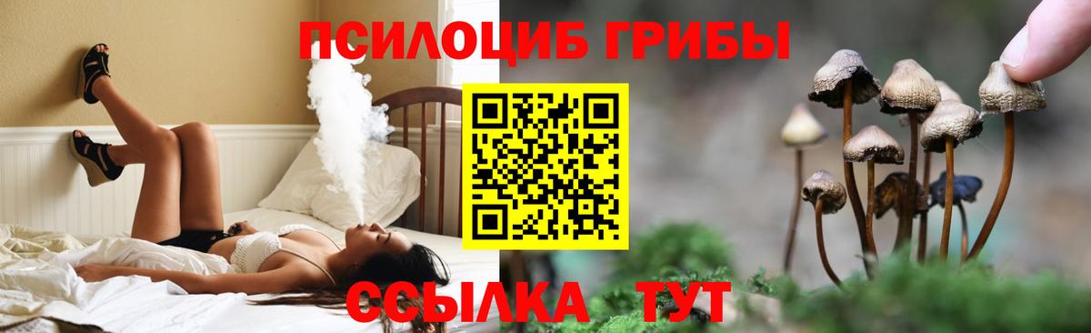 наркошоп  Галлюциногенные грибы Psilocybe  Улан-Удэ  Вход с VPN  Галлюциногенные грибы GOLDEN TEACHER 